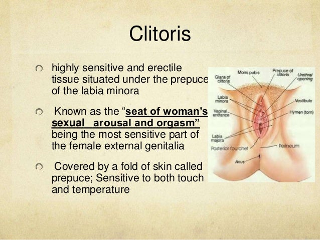 Strapon in bukkake Womens most sensitive point clitoris